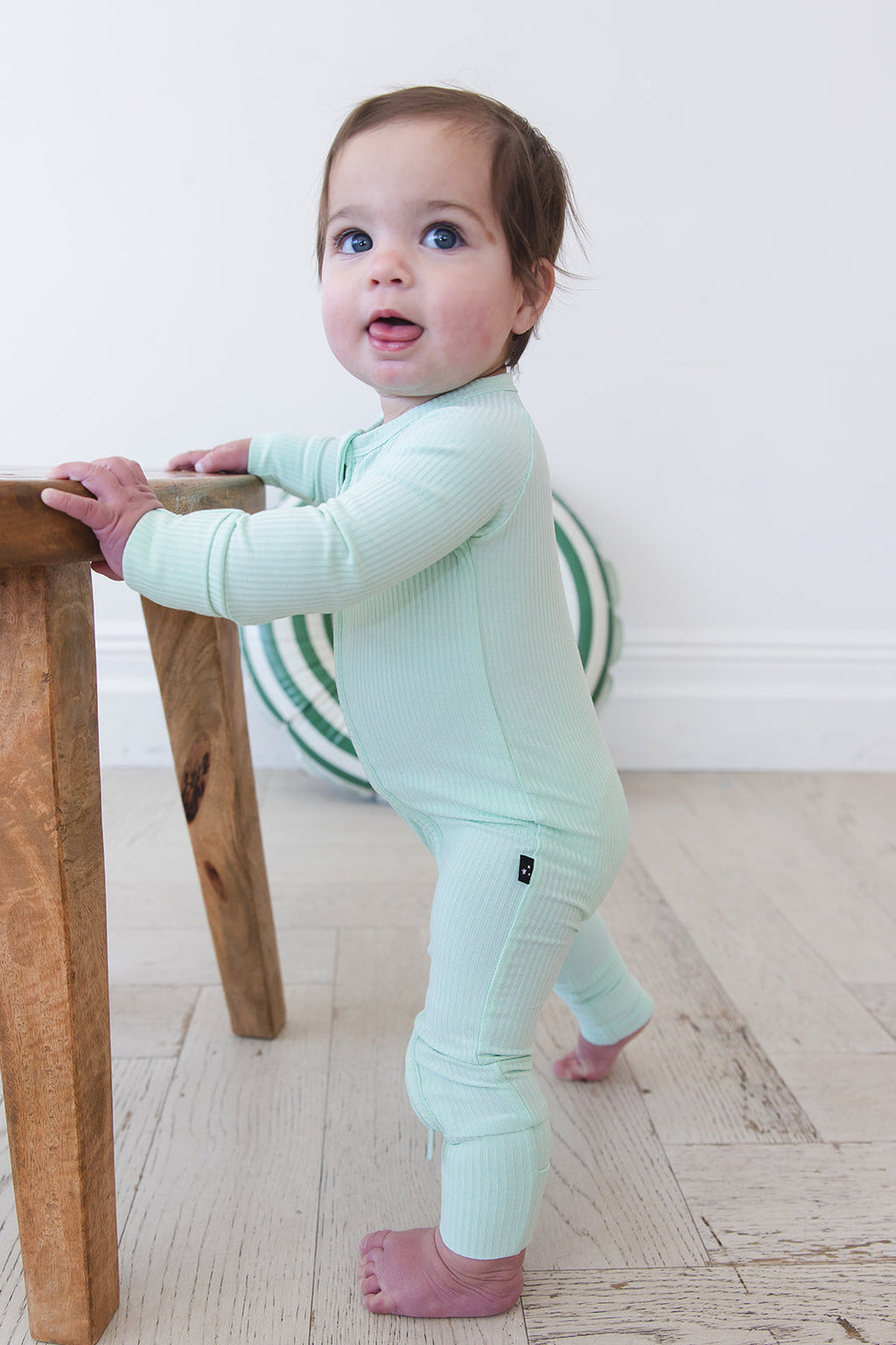 (SOLID, ribbed) Lion Around - Zippy