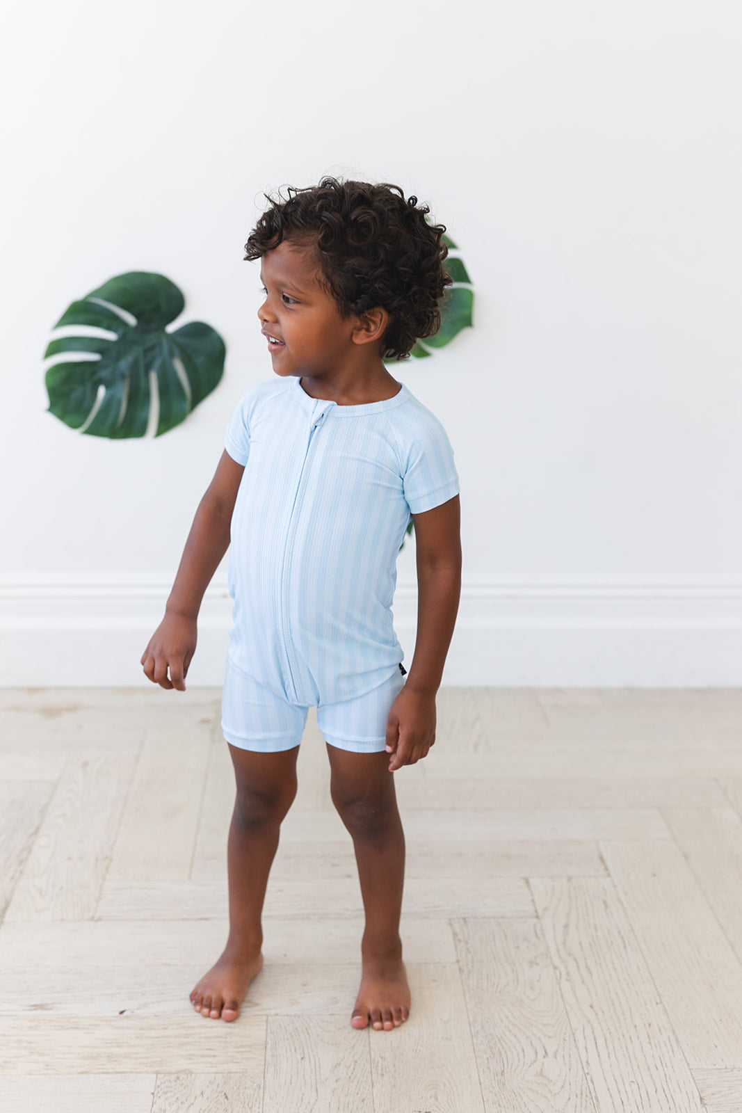 Oliver (ribbed) - Shortie