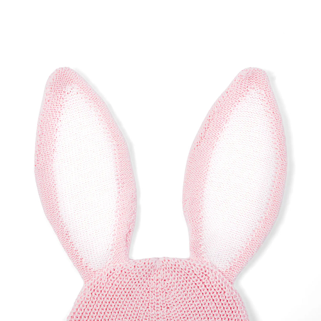 Bunny Ear Knit Beanie in Pink