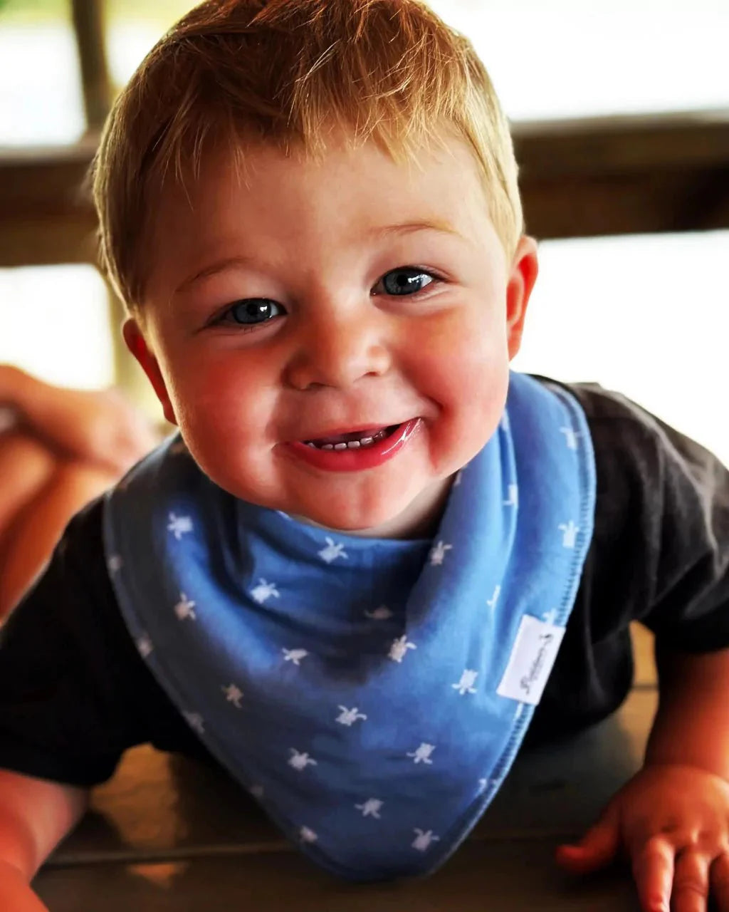Sealife Wonder Bandana Bibs Collection