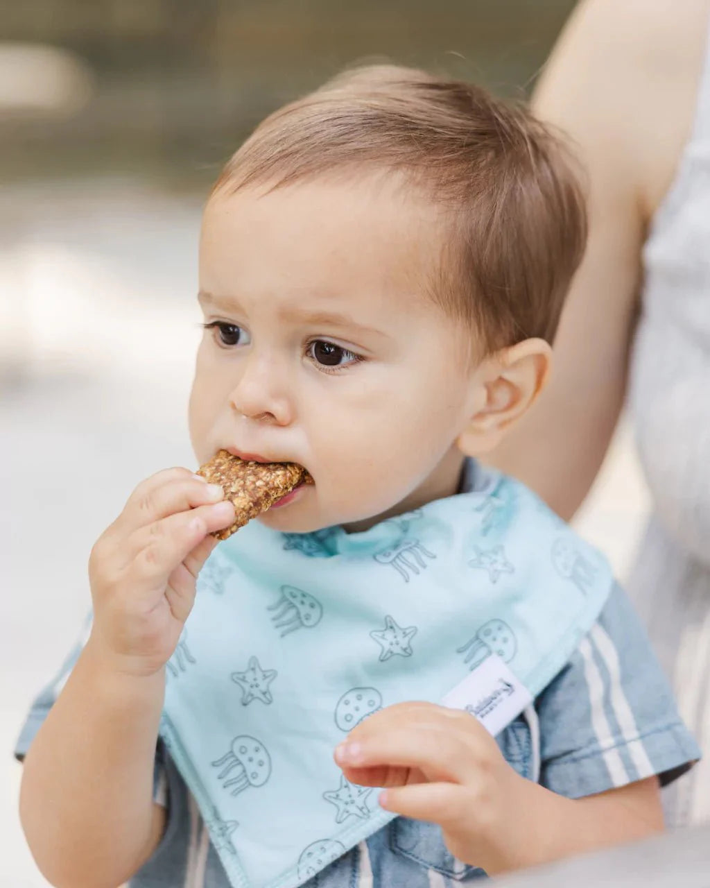 Sealife Wonder Bandana Bibs Collection