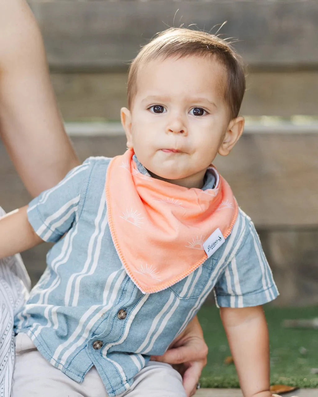 Sealife Wonder Bandana Bibs Collection