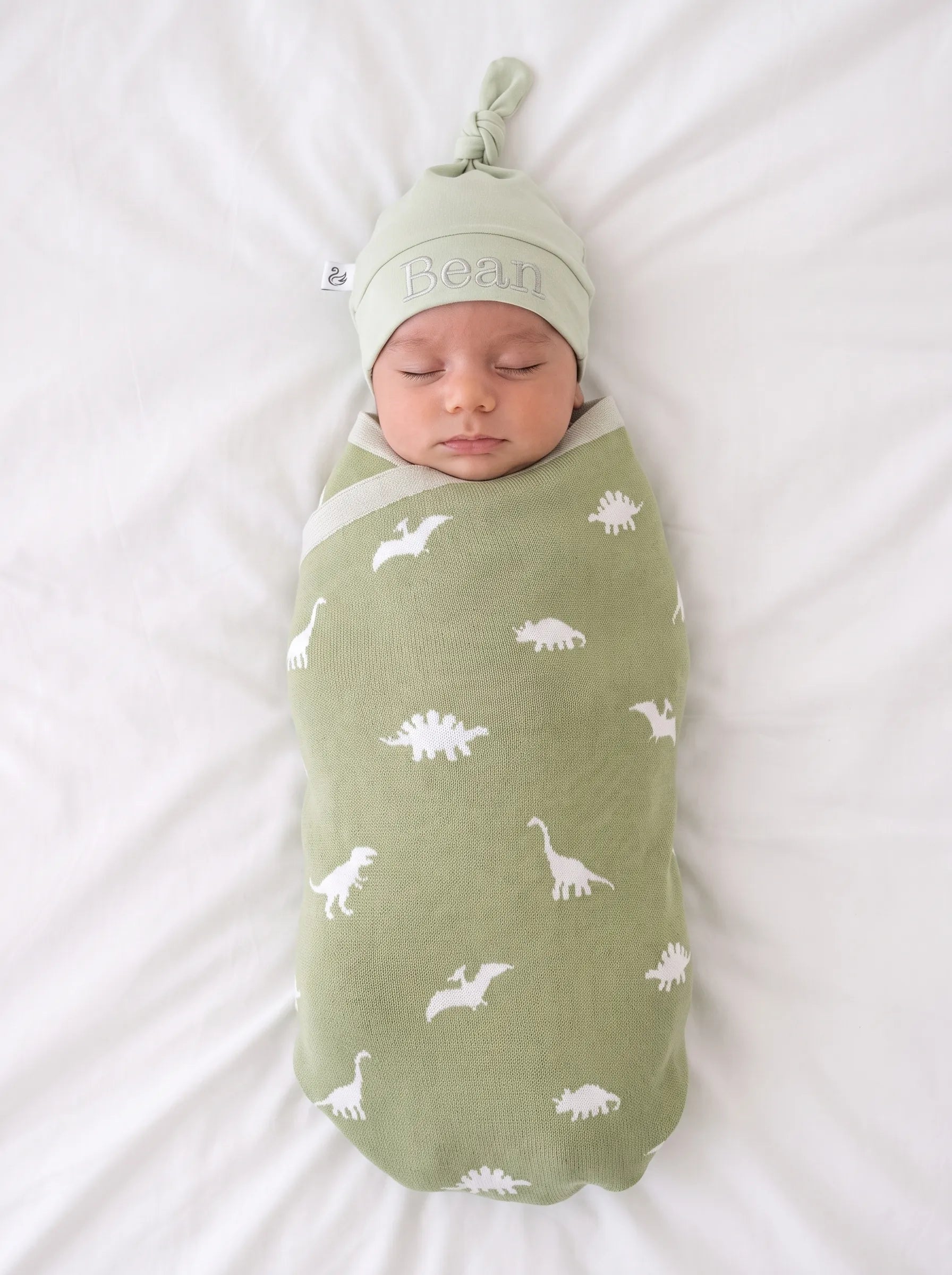 Dinosaur Jacquard Knit Baby Blanket