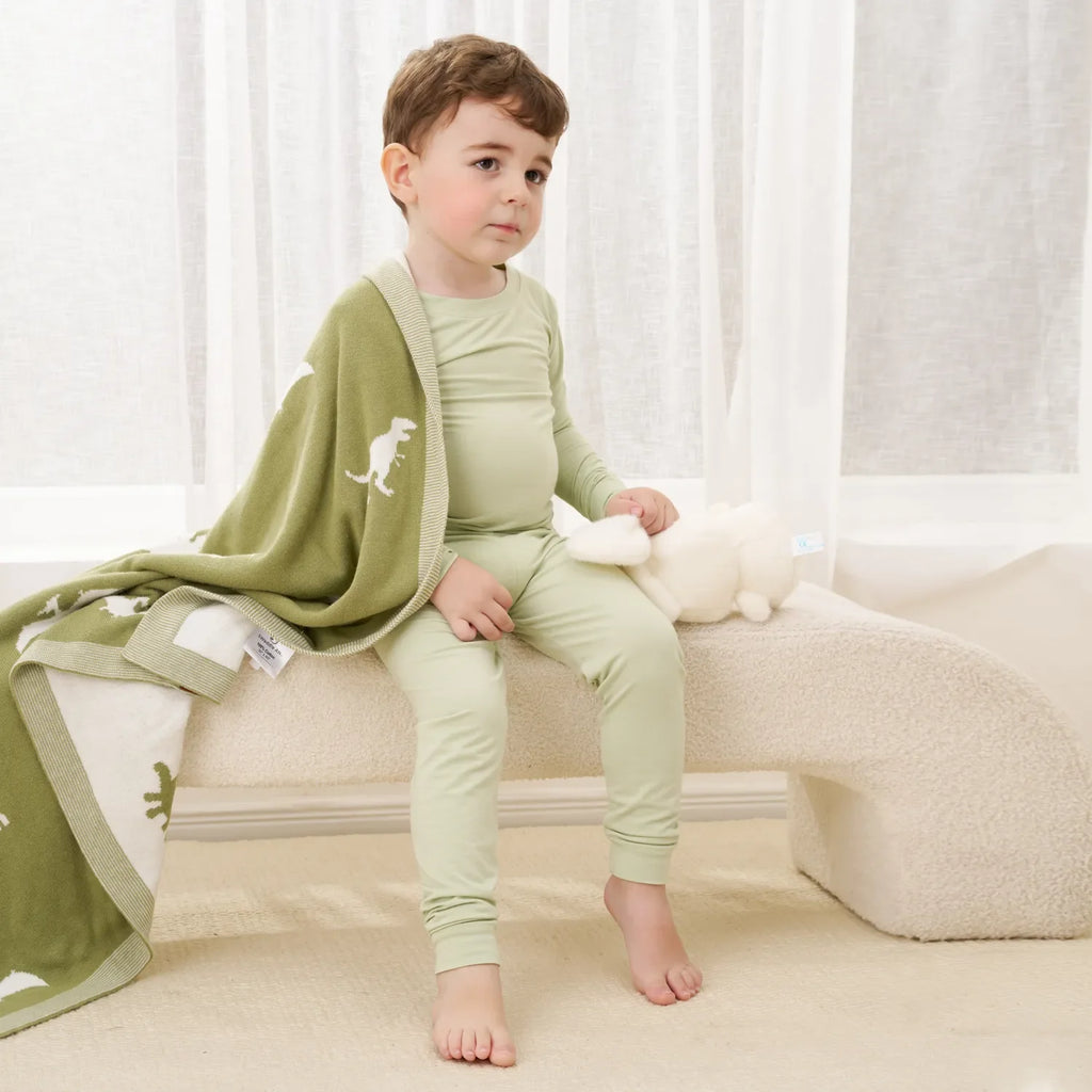 Dinosaur Jacquard Knit Baby Blanket
