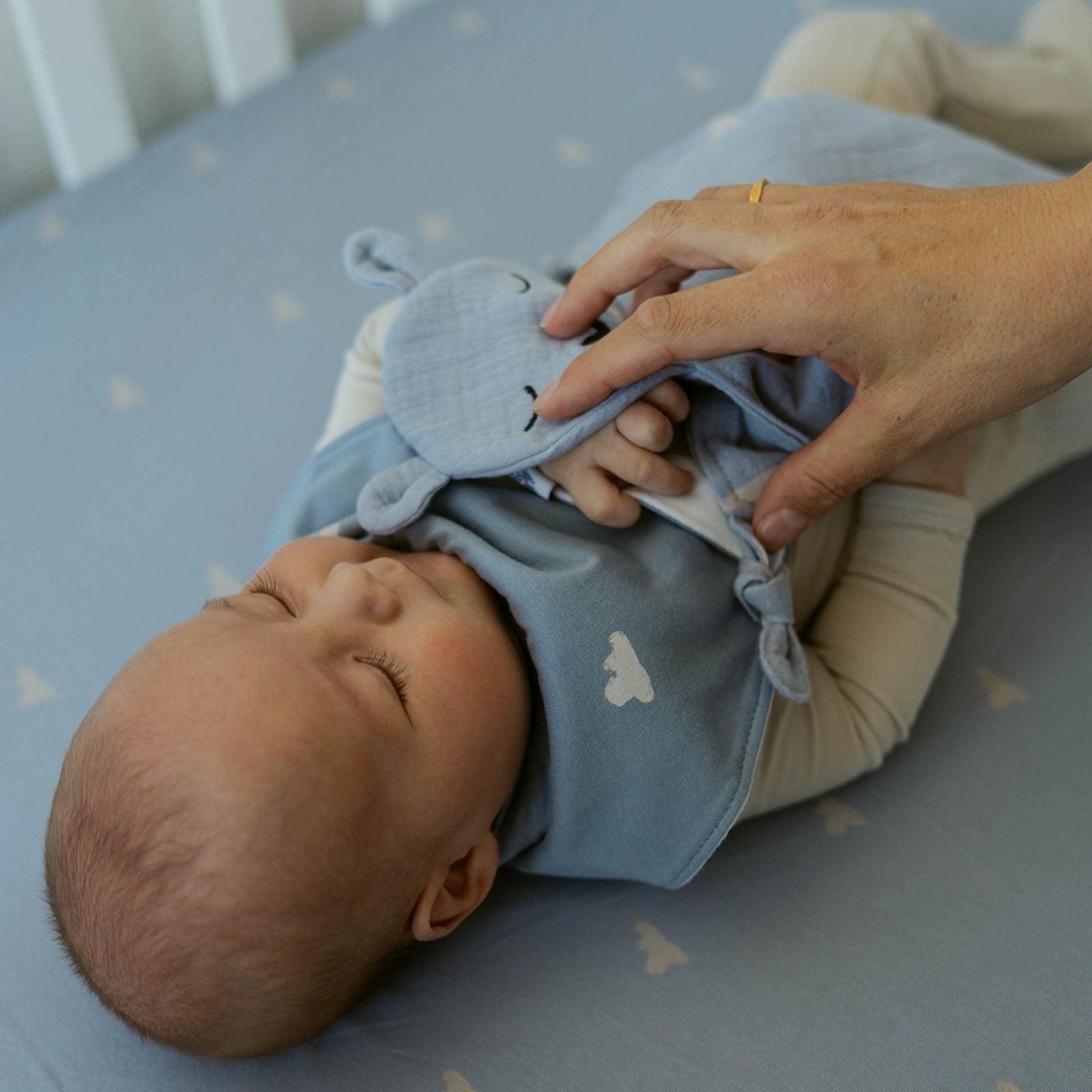 100% Muslin Lovey - Windy